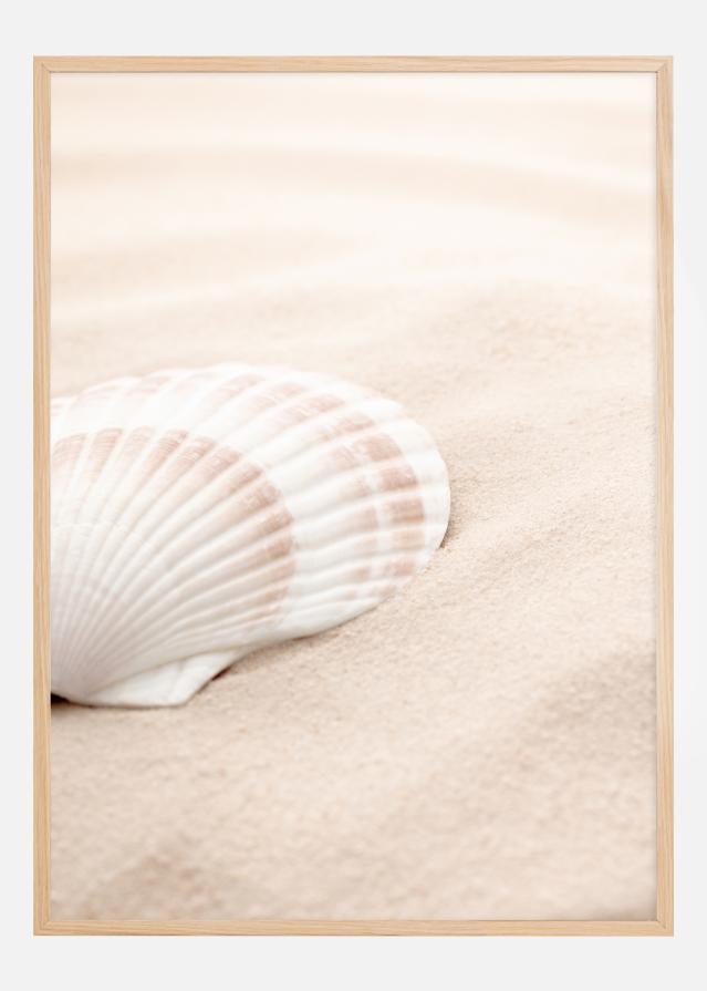 Shell Póster