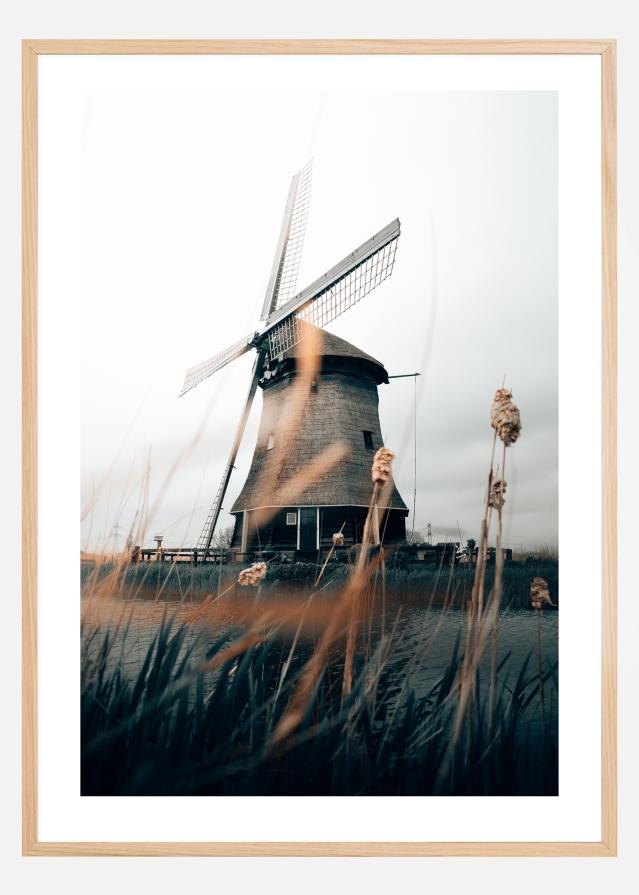 Dutch Windmill Póster