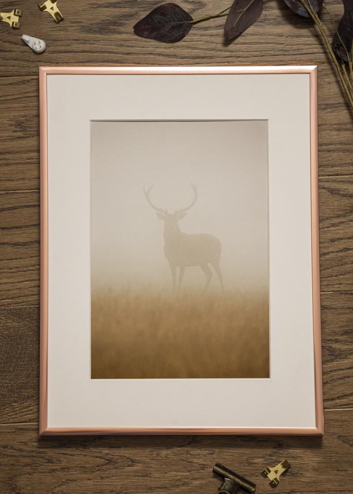 Marco Póster Frame Aluminum Oro rosado 29,7x42 cm (A3)