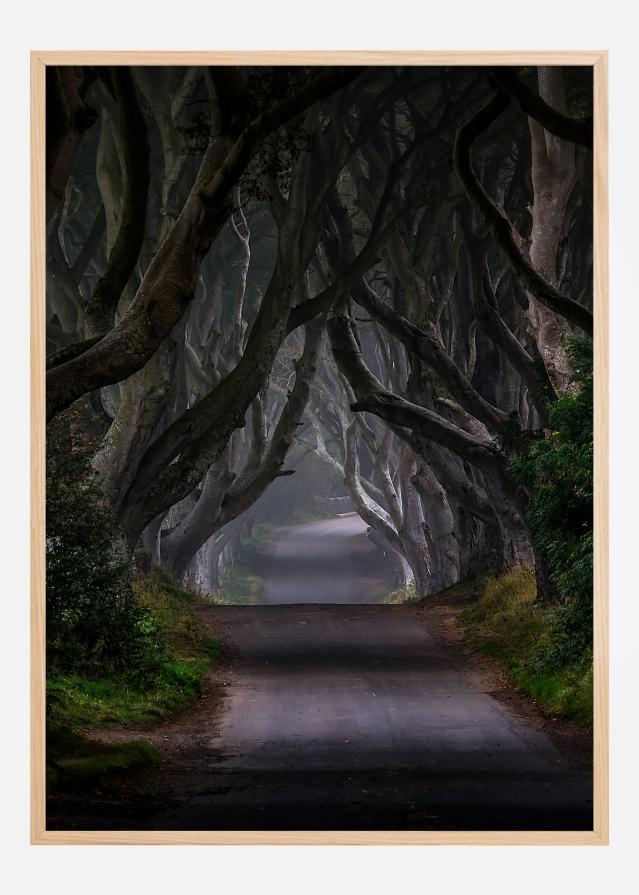 The Dark Hedges Magic road Póster