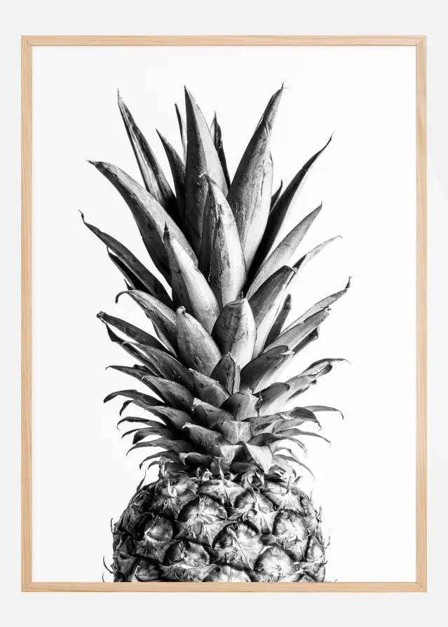 Pineapple Bw Póster