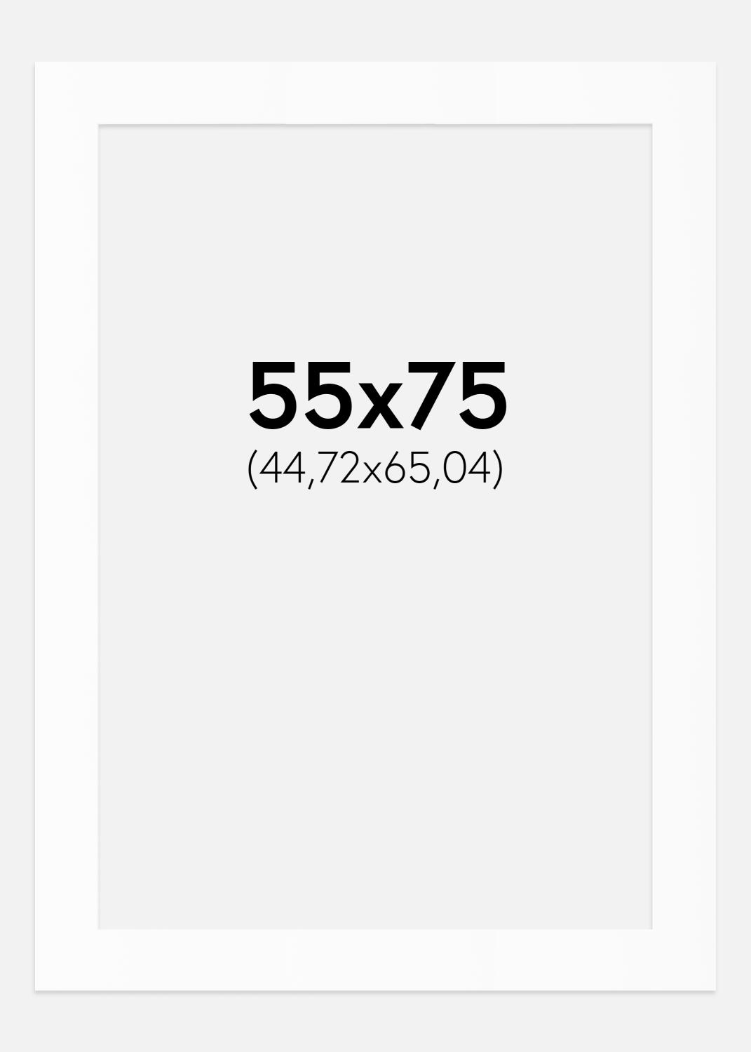 Product Image for Paspartú Blanco Estándar (Borde interior blanco) 55x75 cm (44,72x65,04)