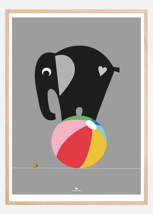 Elephant - Grey Póster