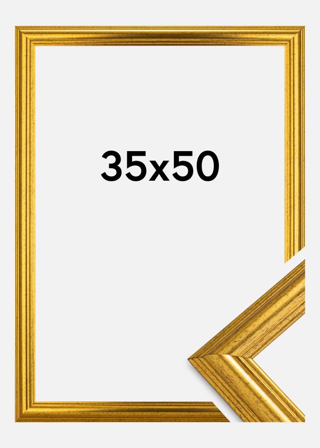 Marco Västkusten Vidrio acrílico Dorado 35x50 cm
