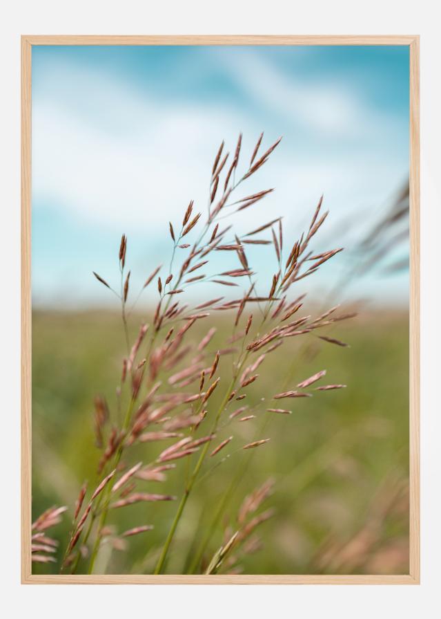 Summerday Póster
