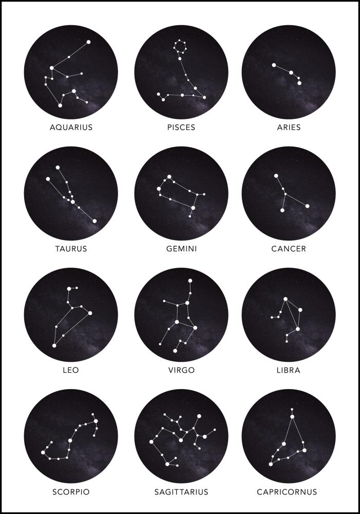 Zodiac Signs Póster