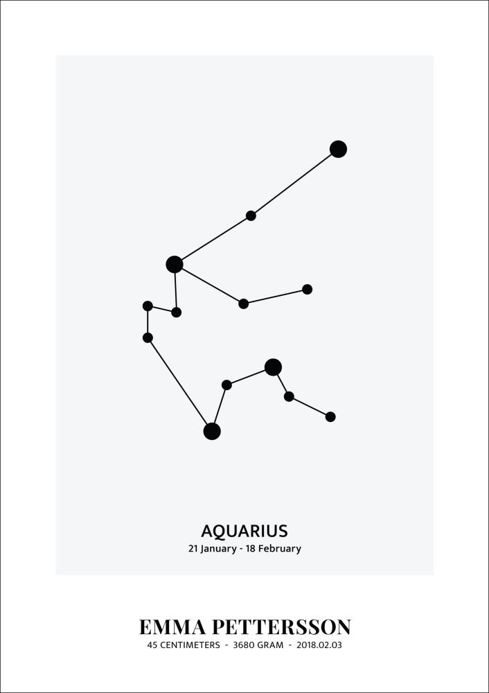 Aquarius - Signo del zodiaco