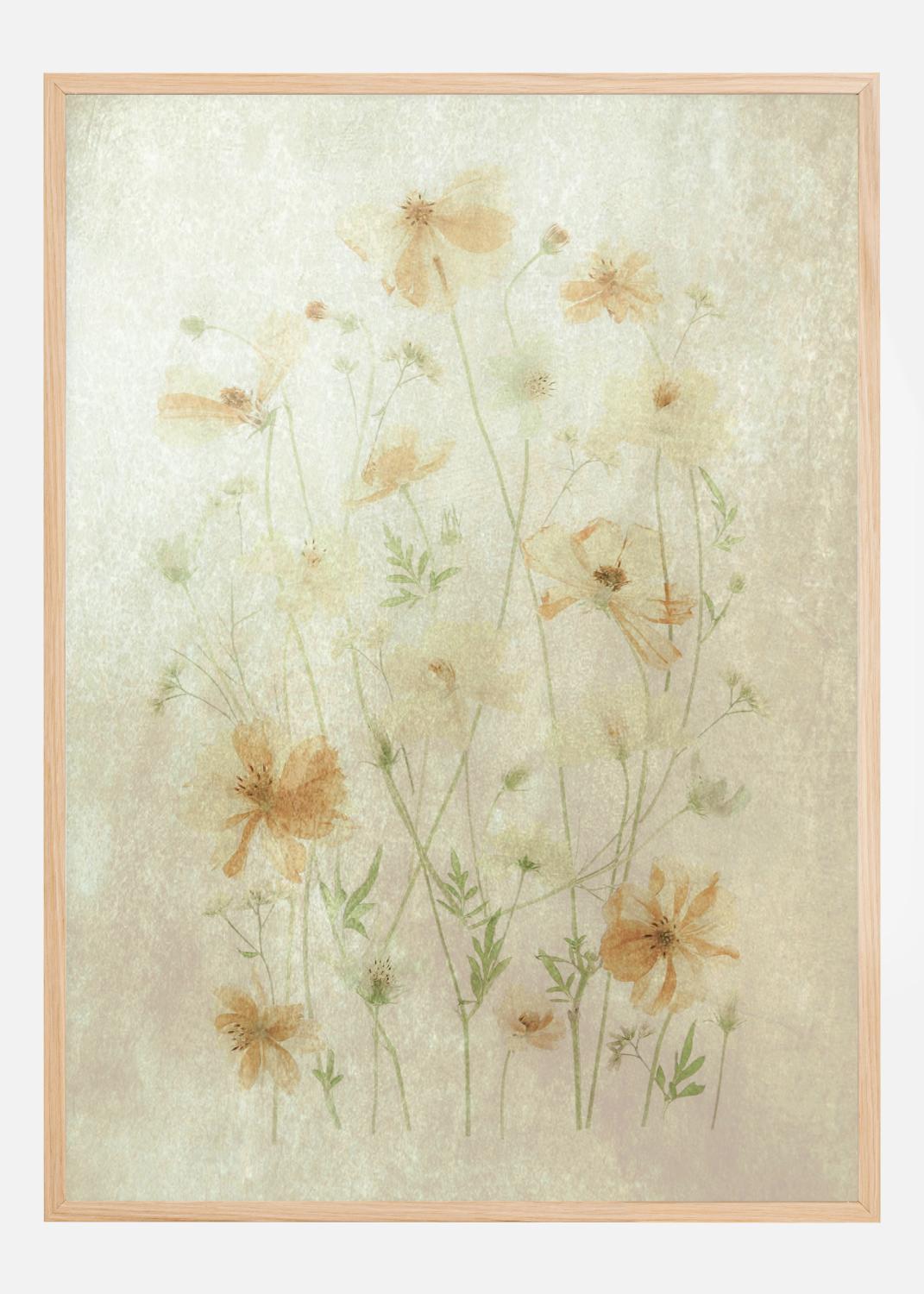 Product Image for Yellow Cosmos Póster (50x70 cm)