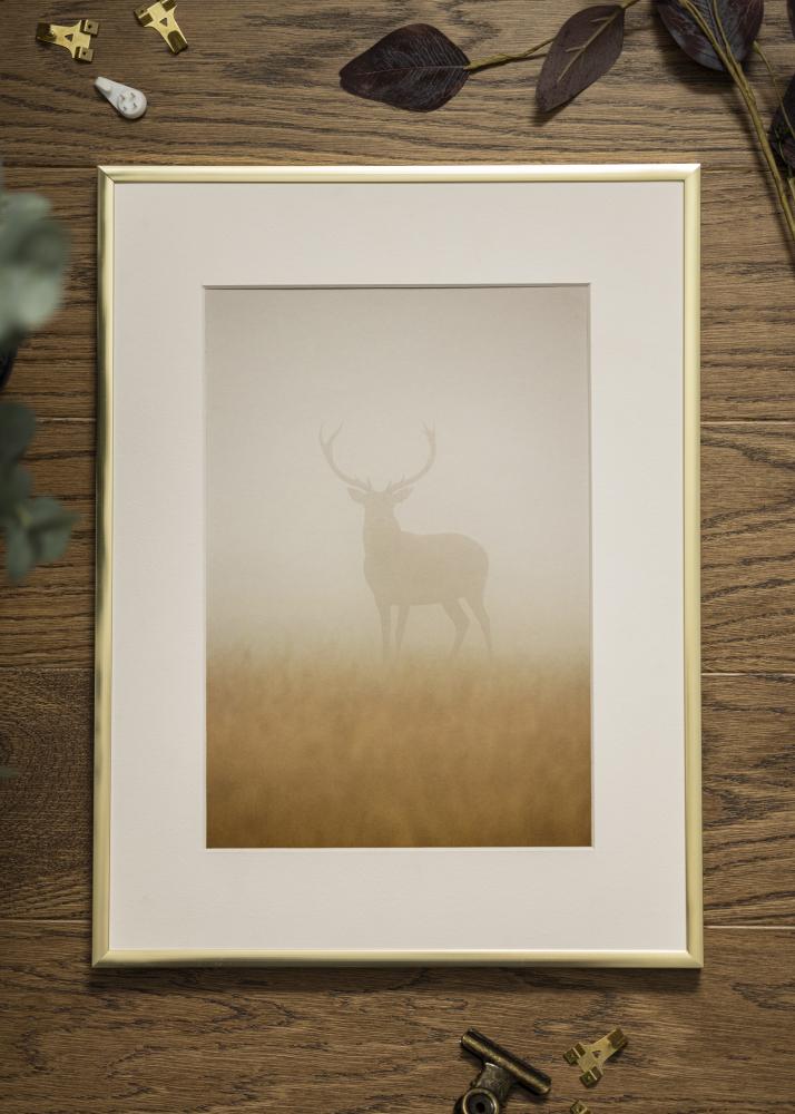 Marco Póster Frame Aluminum Vidrio acrílico Gold 61x91,5 cm