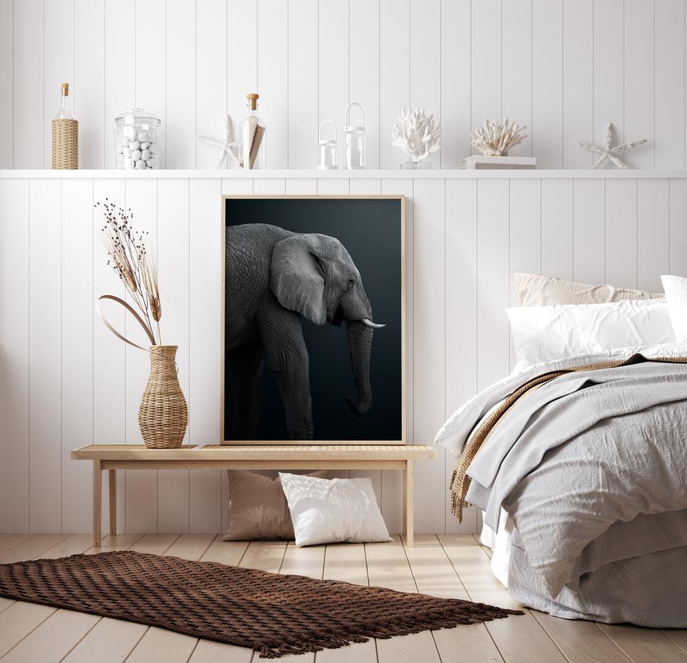 Namibian Elephant Póster