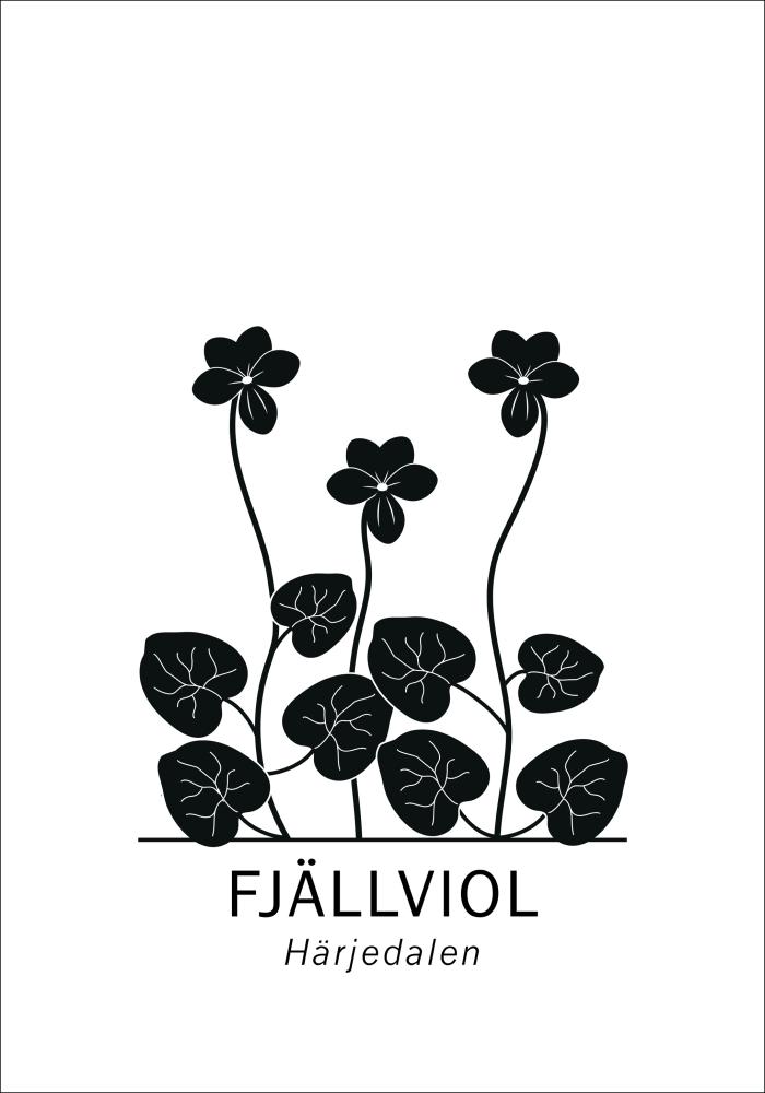 Fjällviol - Härjedalen Póster