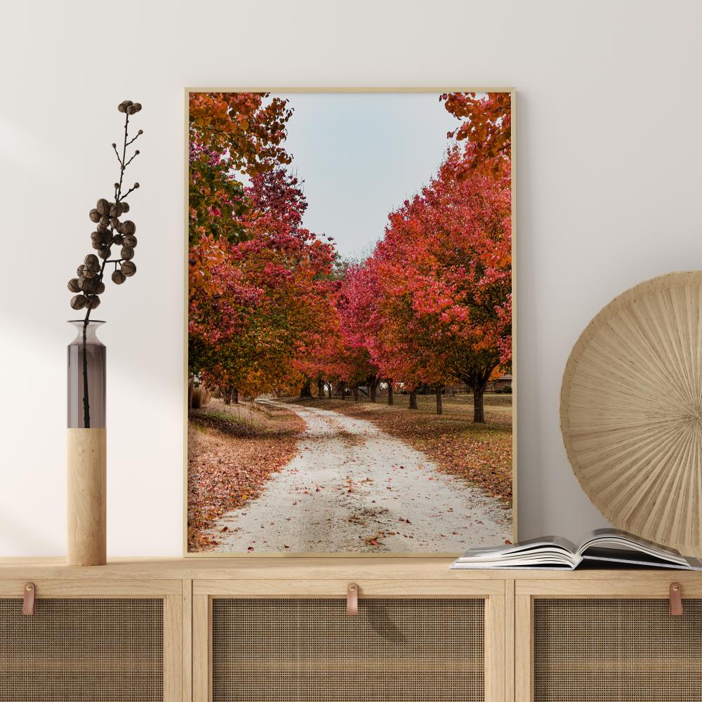 Autum Road Póster