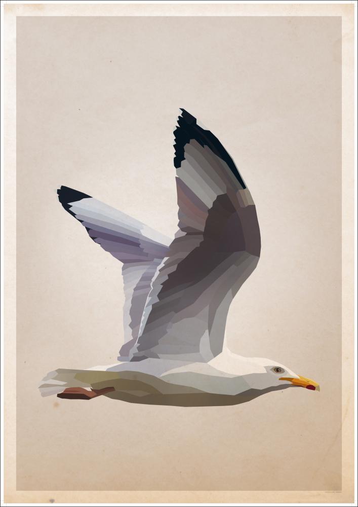 Gull Póster