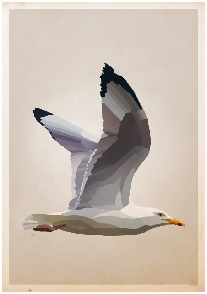 Gull Póster