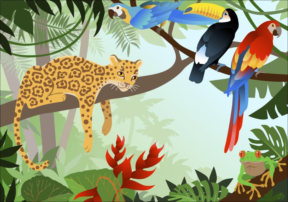 Jungle Animals Póster