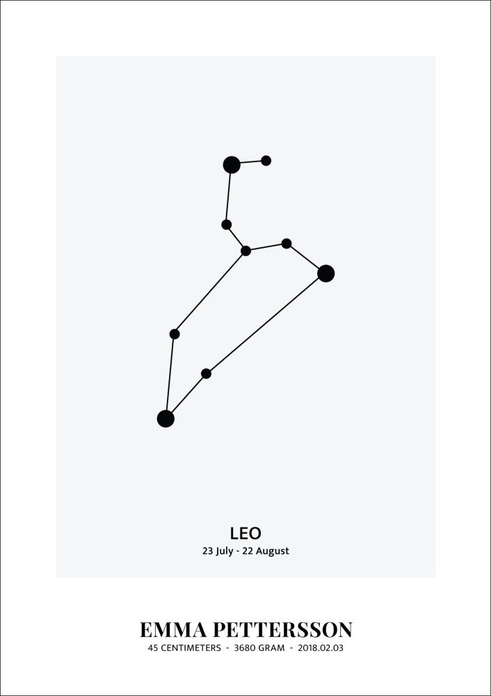 Leo - Signo del zodiaco