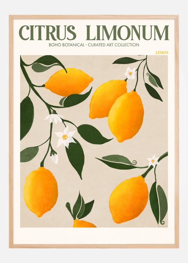 Boho Citrus Limonum Póster