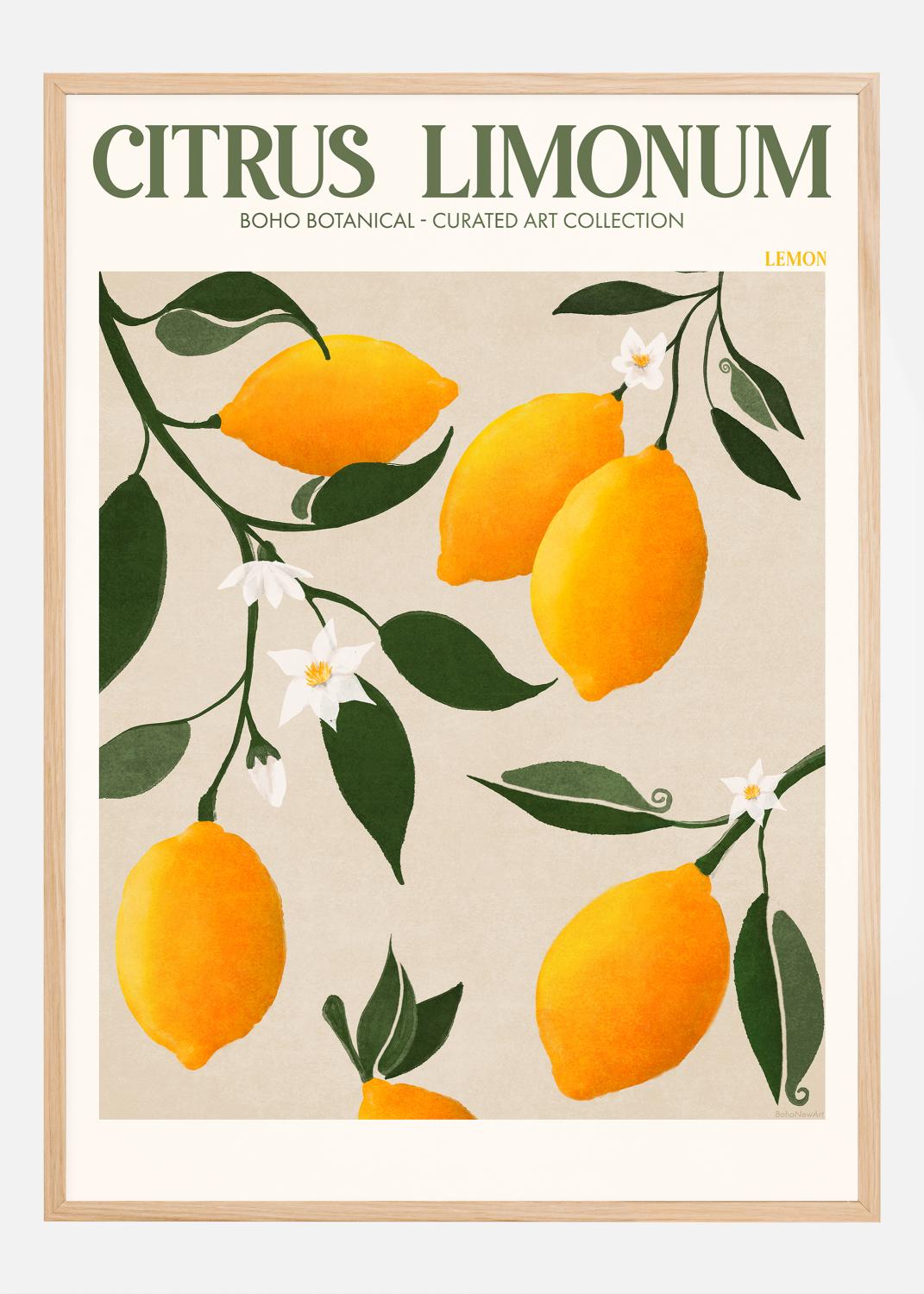 Product Image for Boho Citrus Limonum Póster (21x29.7 cm (A4))