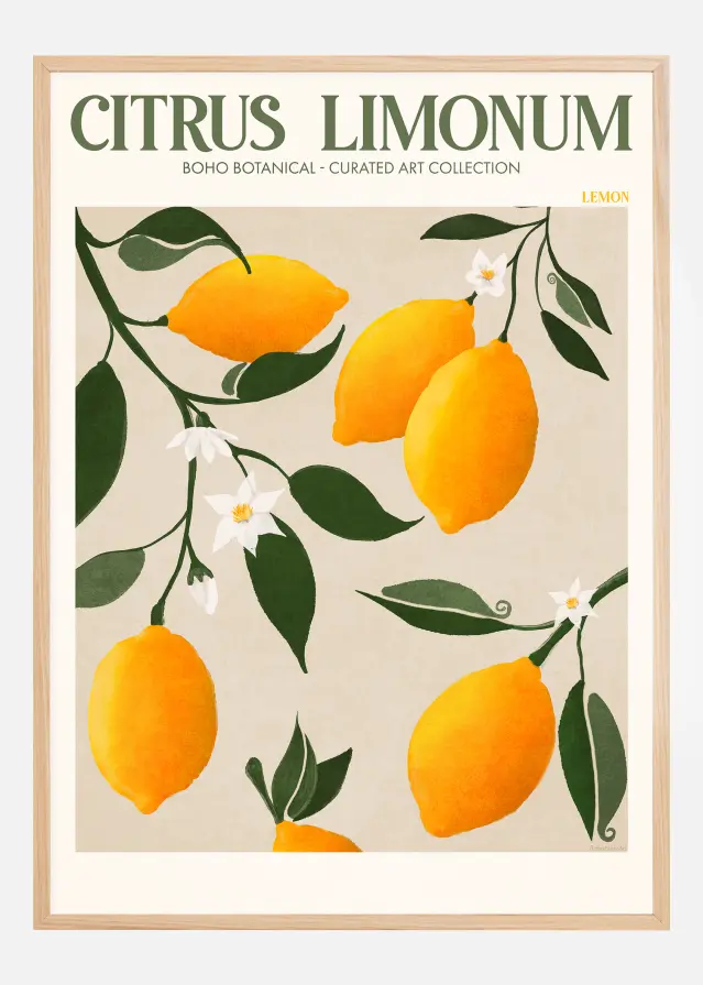 Boho Citrus Limonum Póster