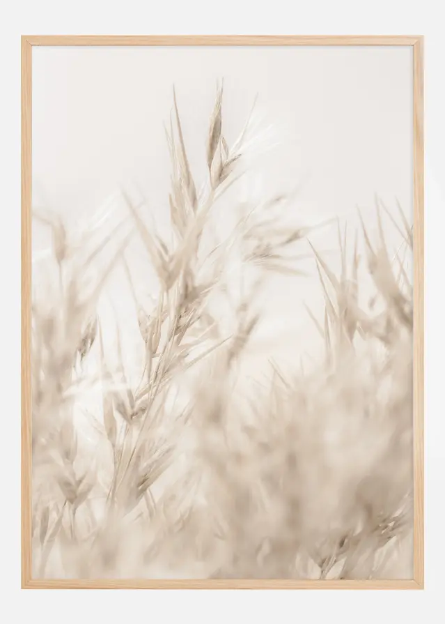 Beige Dried Straws ll Póster