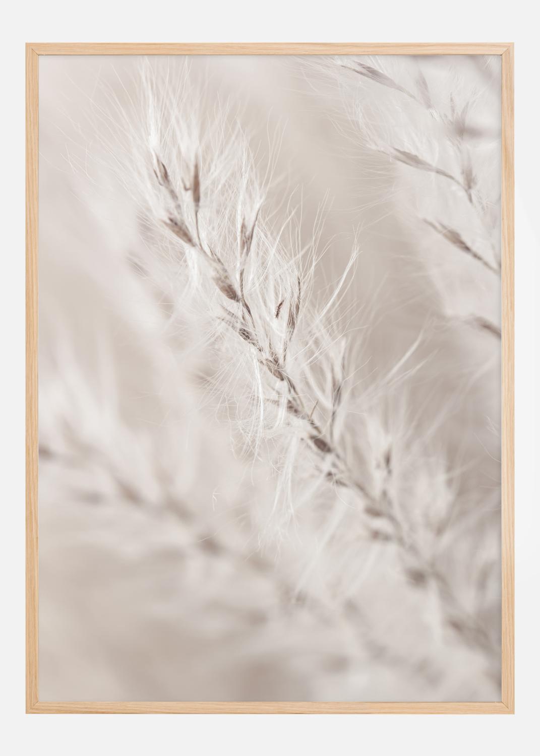 Product Image for Beige Dried Straws lll Póster (21x29.7 cm (A4))