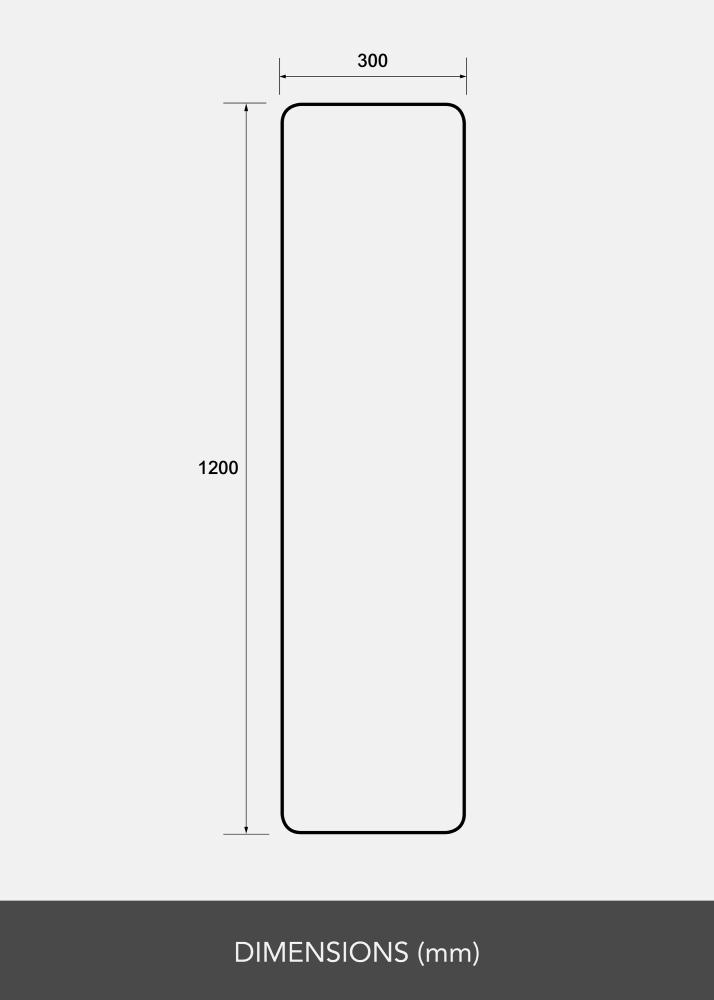 Espejo Rectangle L 30x120 cm