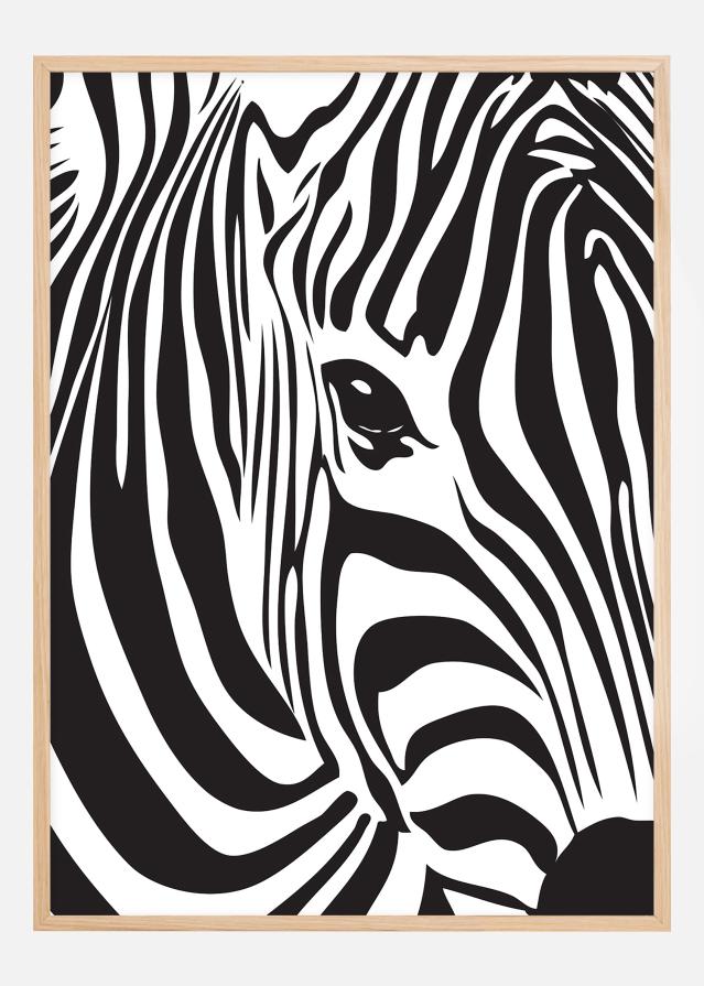 Zebra Póster