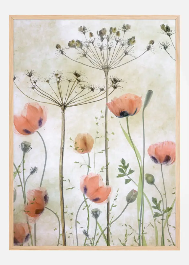 Poppy Meadow Póster