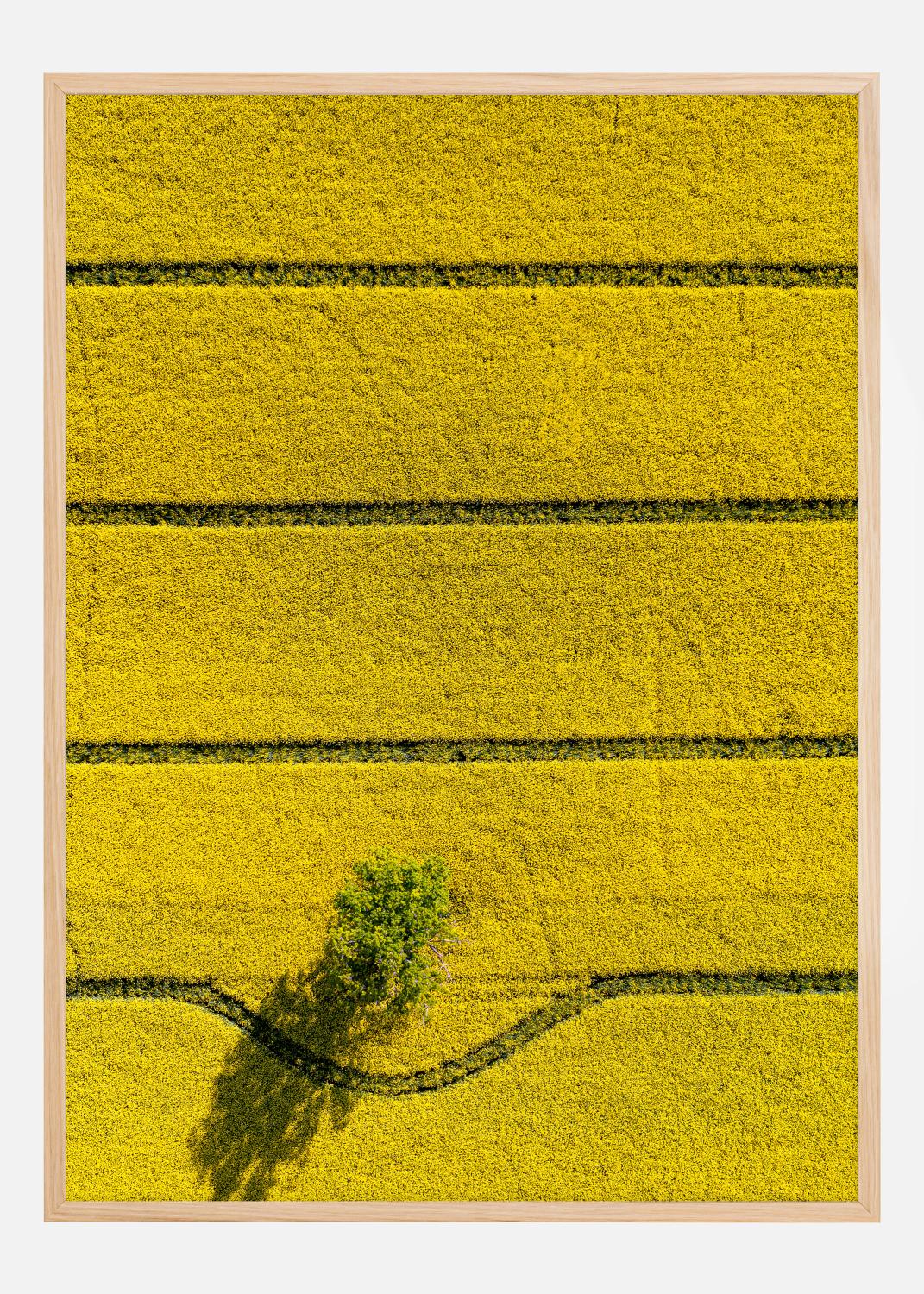 Product Image for In My Way Póster (21x29.7 cm (A4))