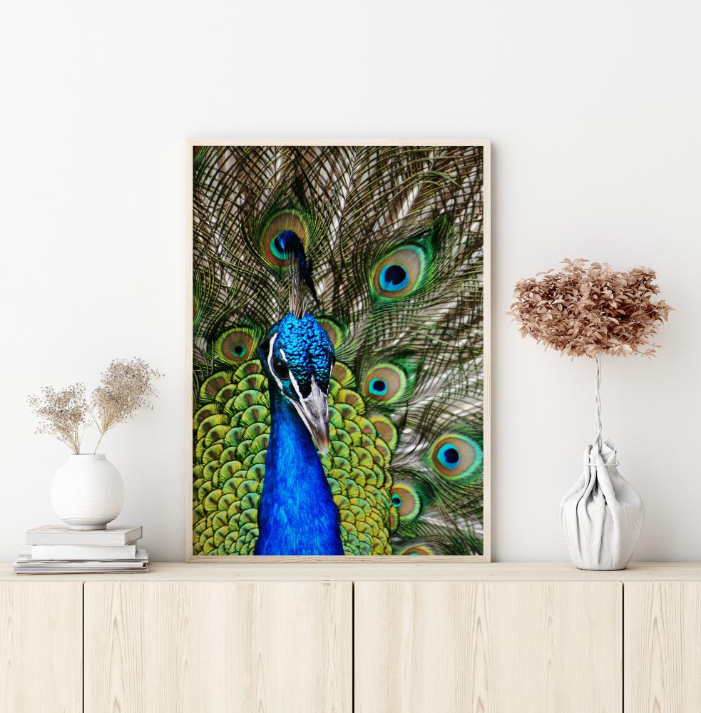 Peacock I Póster