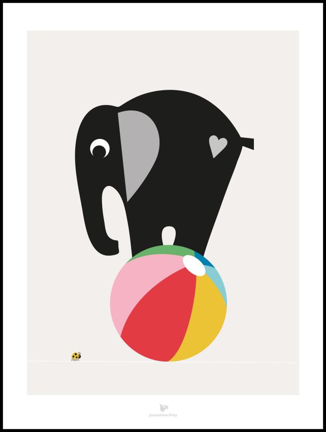 Elephant grey Póster