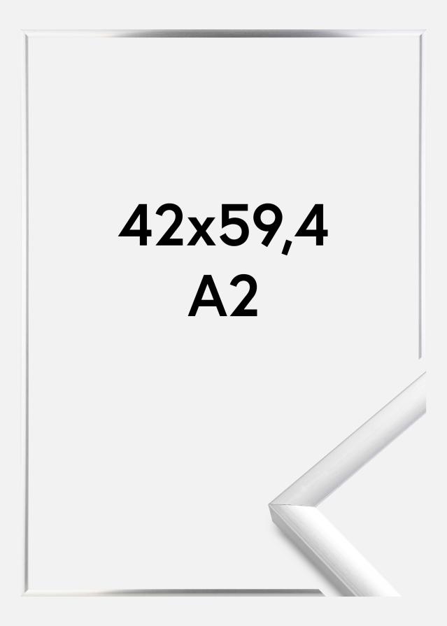 Marco New Lifestyle Vidrio acrílico Plateado 42x59,4 cm (A2)