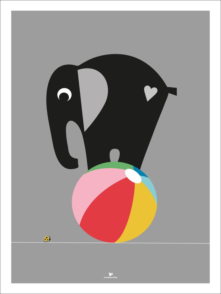 Elephant - Grey Póster