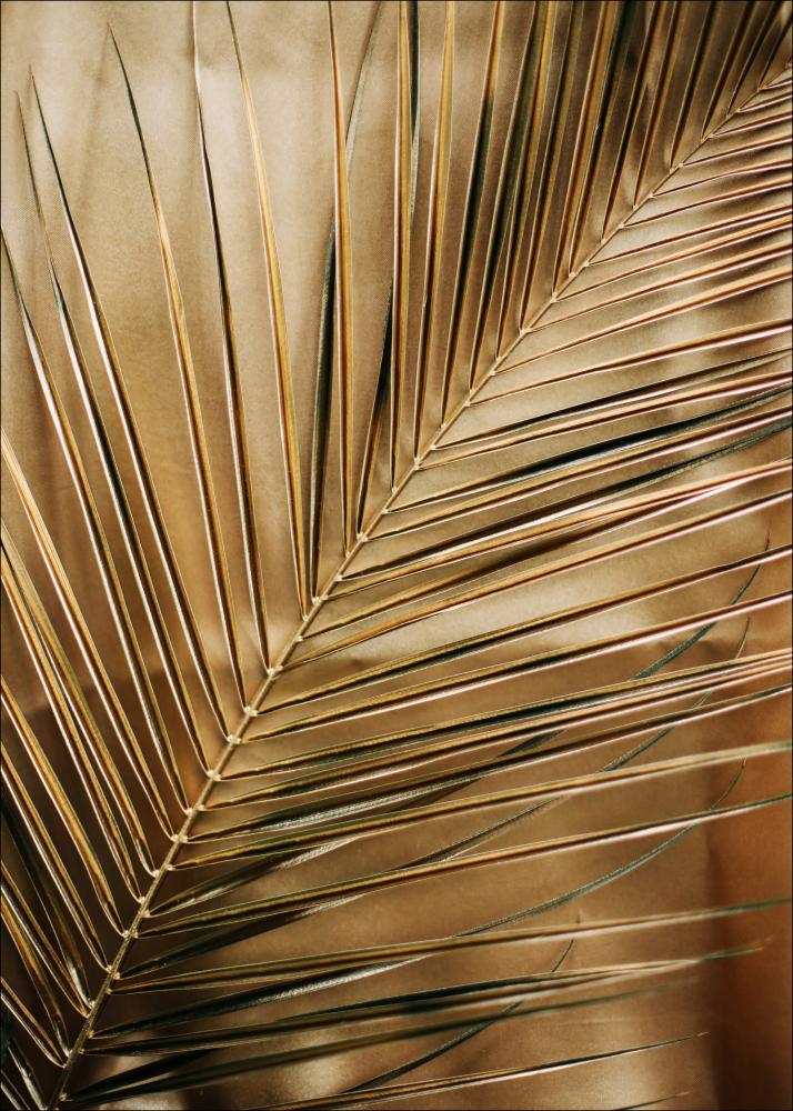 Golden Palm Póster