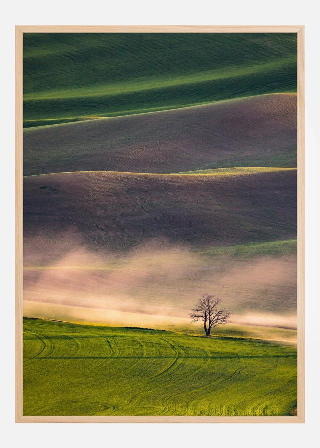 Sunset in Palouse Póster