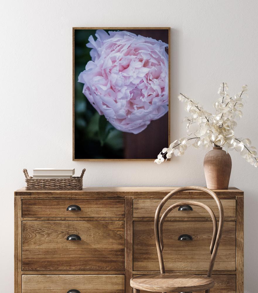 Peony I Póster