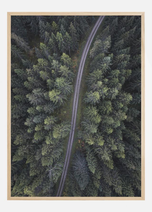 Small road through the forest Póster